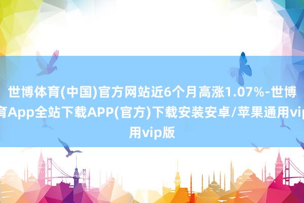 世博体育(中国)官方网站近6个月高涨1.07%-世博体育App全站下载APP(官方)下载安装安卓/苹果通用vip版