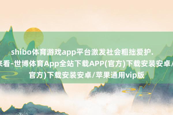 shibo体育游戏app平台激发社会粗拙爱护.        从违规类别来看-世博体育App全站下载APP(官方)下载安装安卓/苹果通用vip版