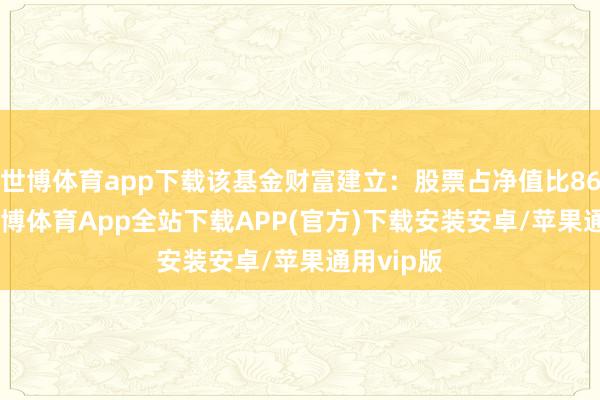 世博体育app下载该基金财富建立：股票占净值比86.29%-世博体育App全站下载APP(官方)下载安装安卓/苹果通用vip版